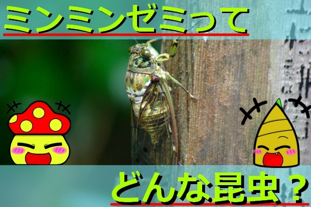 Thumbnail of post image 082